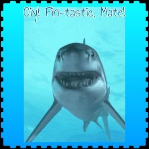 BOGOHALF ALL KIDS CLOSET